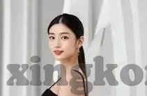 猜中足球大比分-从偶然到必然,揭秘猜中足球大比分的背后逻辑