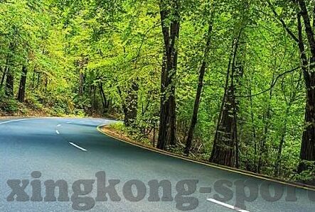 体育比分足球-足球比分背后的风云变幻,一场比赛,无限故事
